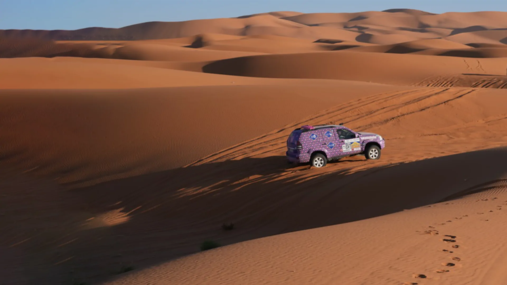 Un 4x4 aux motifs violets et roses roule sur une dune du désert marocain, sa trace dans le sable.